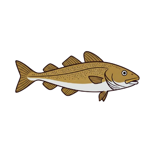 Cod Fish avatar